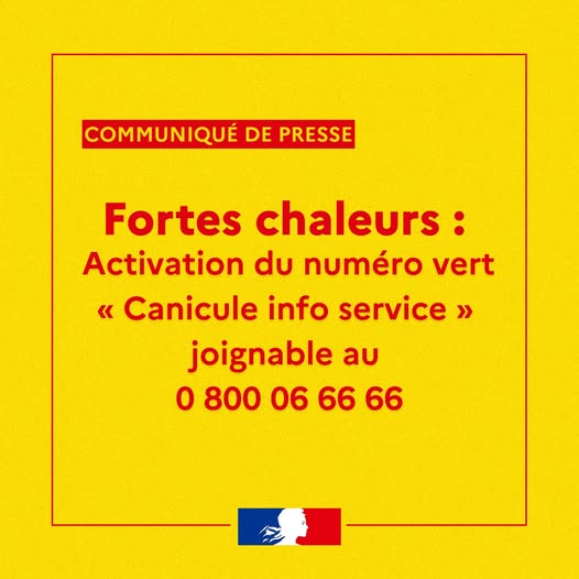 nE VERT cANICULE